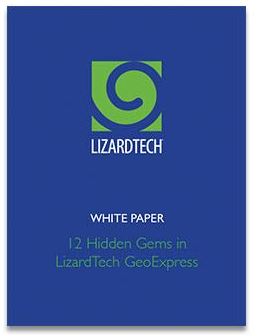 LizardTech White Paper 