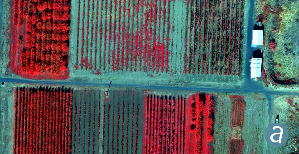 SimActive Releases Version 8.2 for Processing of Multispectral Imagery