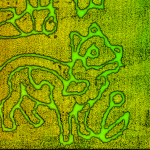 RedTail LiDAR Systems produces amazing corn maze images