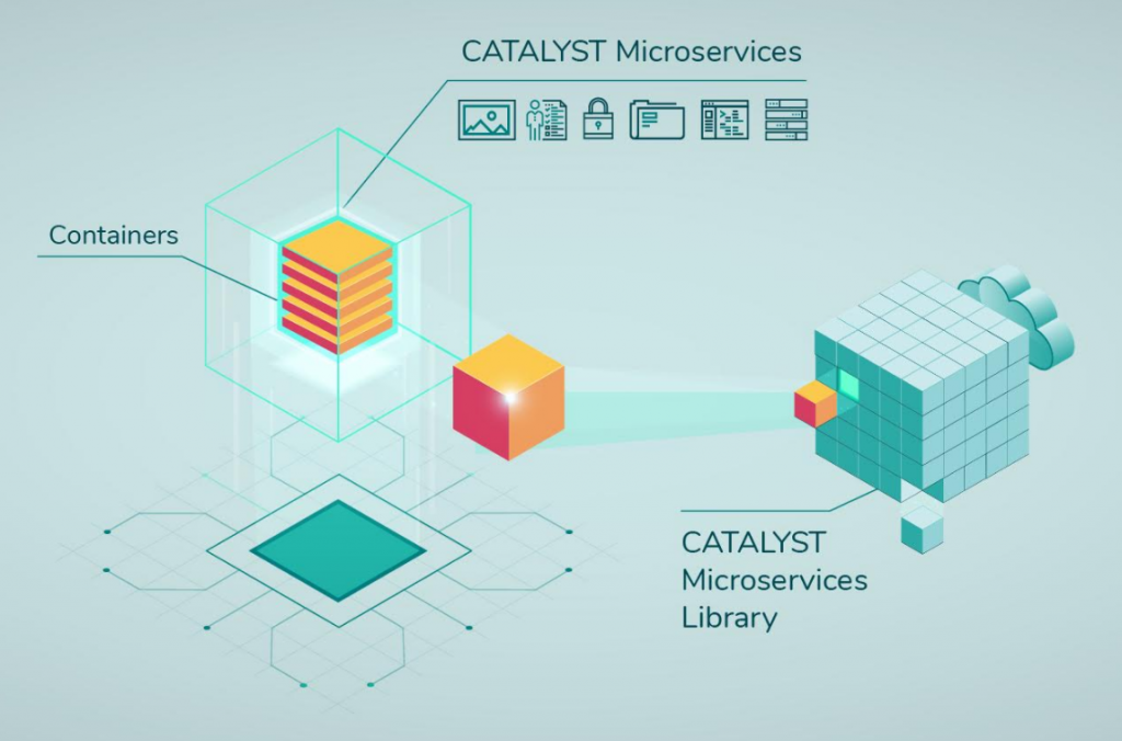 CATALYST Announces Cost-Effective, Fully Scalable Processing  of Earth Observation Imagery on the Cloud