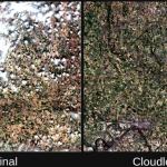 CloudlessEO Algorithm Fills in Clouds and Shadows in Optical Satellite Imagery