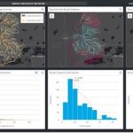 Airspace Link Receives Esri’s ‘Analytics to Insights’ Award at the Esri Partner Conference